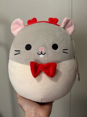 Squishmallows Rusty the Rat Valentines Day 
S8 #1670-3  / SQUISHDATE 05.15.2024